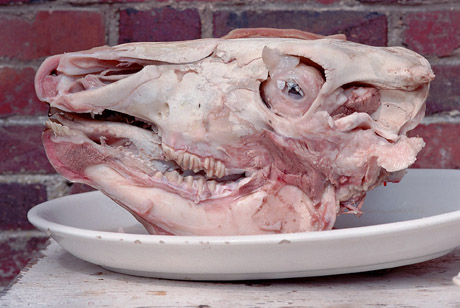 TÃŠTE DE VEAU - Marc Bretillot - 0